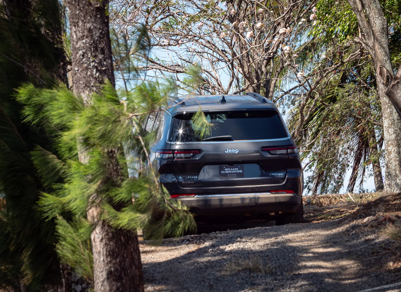Jeep Grand Cherokee 2024 entre la vegetación — Jeep Costa Rica